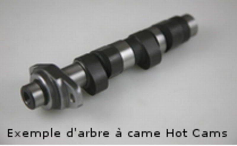 HOT CAMS Camshaft - Stage 1 Polaris