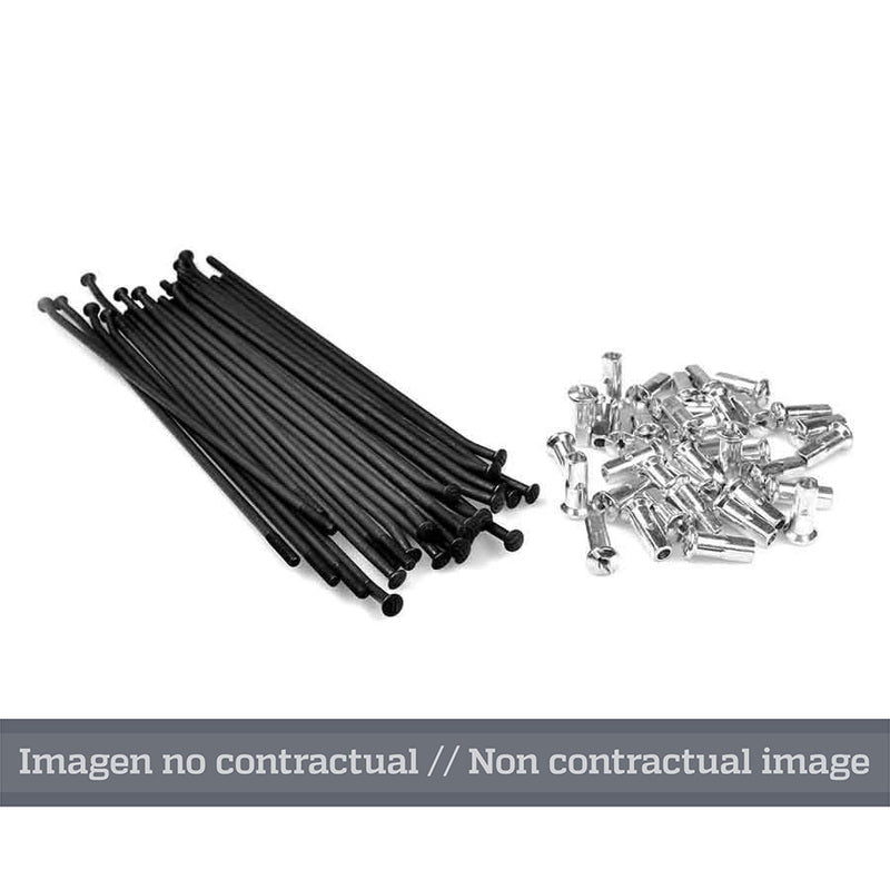 HAAN WHEELS 21" Spokes set - 36 spokes - 1076552001