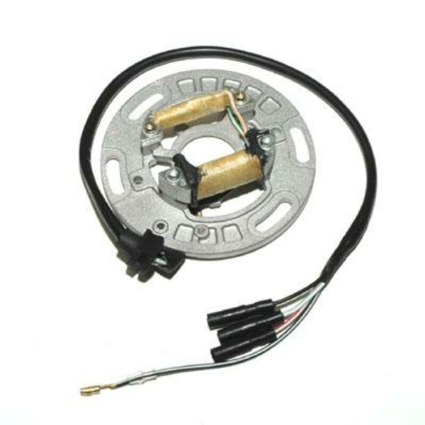 ELECTROSPORT Stator - Kawasaki - 1077964