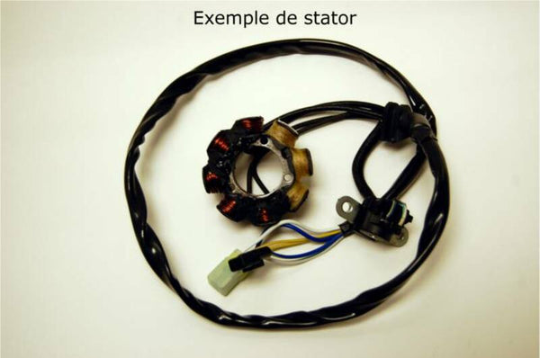 ELECTROSPORT Stator - KTM - 1077971
