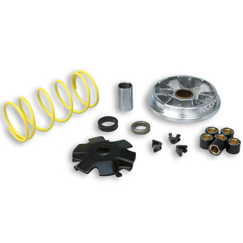 MALOSSI Multivar Variator - - 1007985