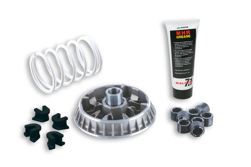 MALOSSI Multivar 2000 Variator - 1008022