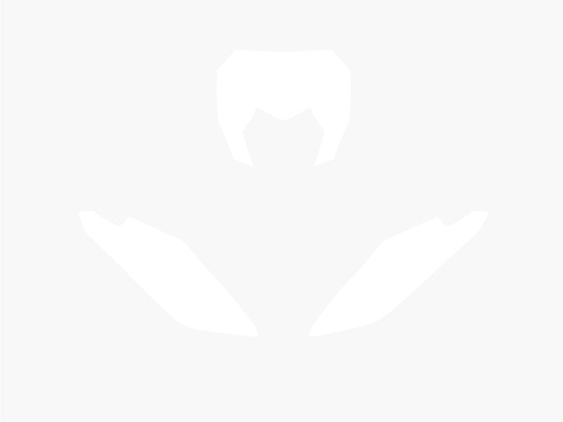 BLACKBIRD Plate Stickers White Fantic XE