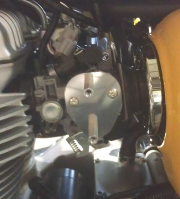ACCESS DESIGN Vergaserschutz-Montagesatz Kawasaki W800 