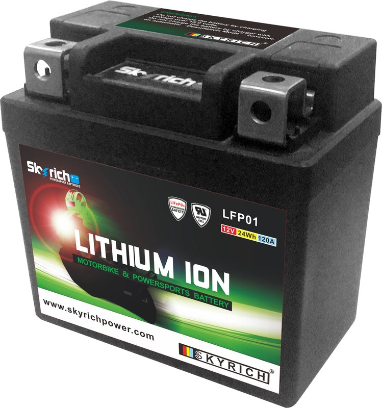 SKYRICH Battery Lithium-Ion - LTKTM04L