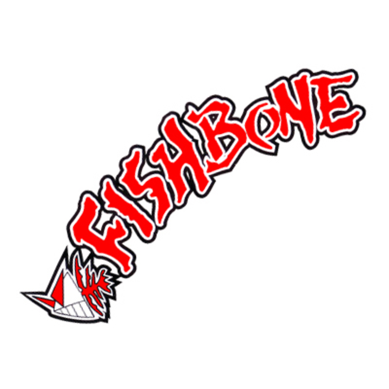 FISHBONE BMX Levers Forged Alloy