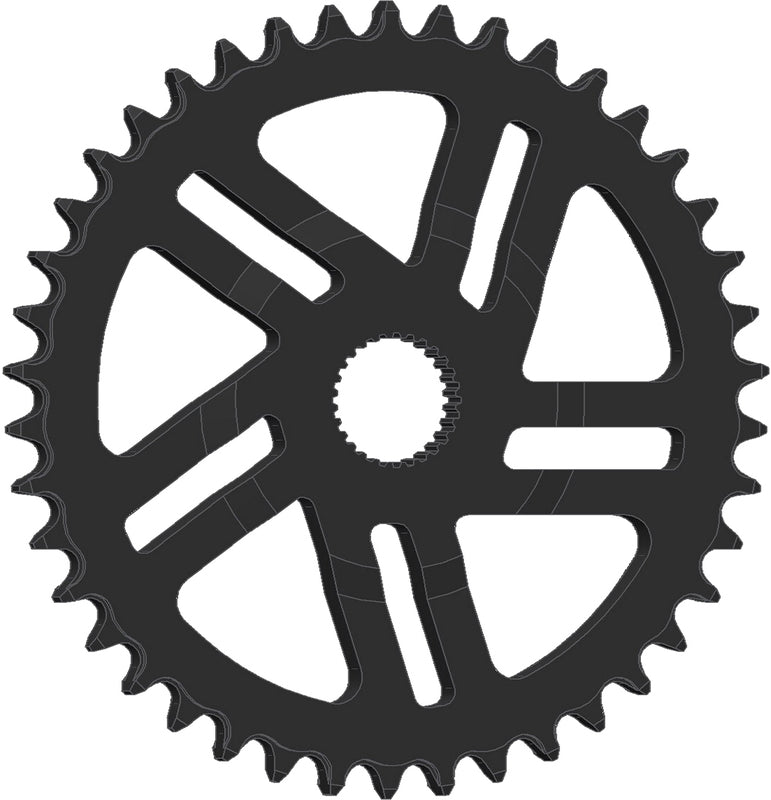 ESJOT Chainring Bosh Gen 4 DL 47,5cm 38T