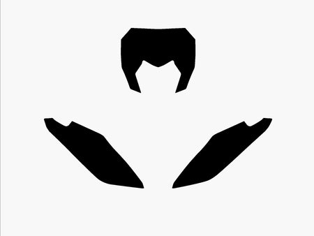 BLACKBIRD Plate Stickers Black Fantic XX