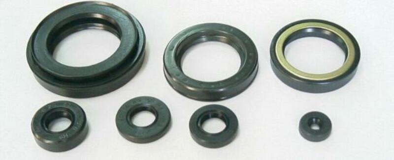 TOURMAX Engine Oil Seals Set - 1003714