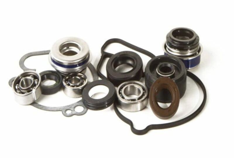 HOT RODS Water pump repair kit - Polaris - 1006988