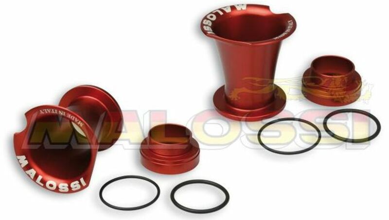 MALOSSI Intake Horns - 0516195