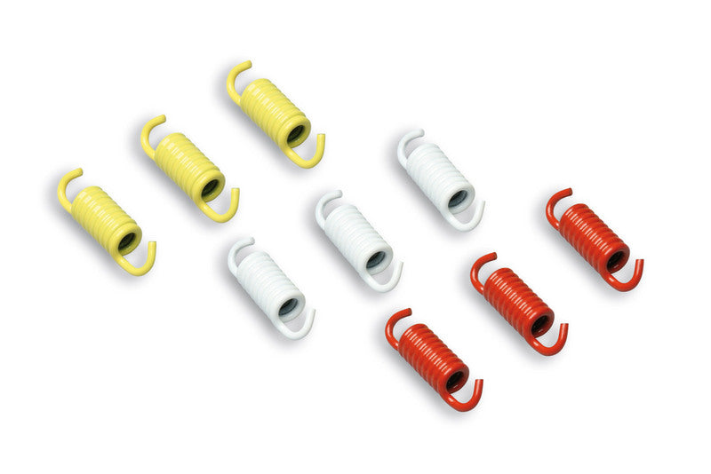 MALOSSI Racing Spring Set for OEM, Fly and Delta Clutches - 9 pieces - 1007982