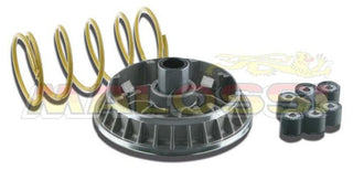 MALOSSI Multivar 2000 Variator - Suzuki Burgman 400 K10 ie