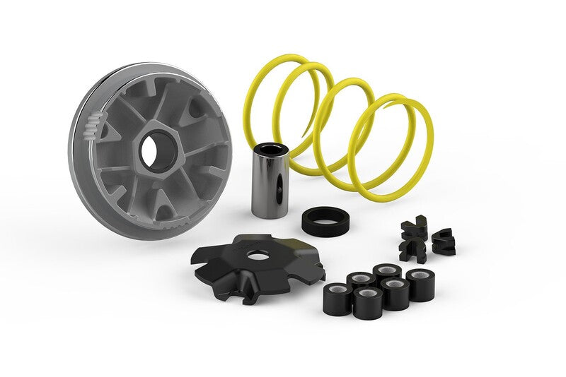 MALOSSI Multivar Variator - - 1008144