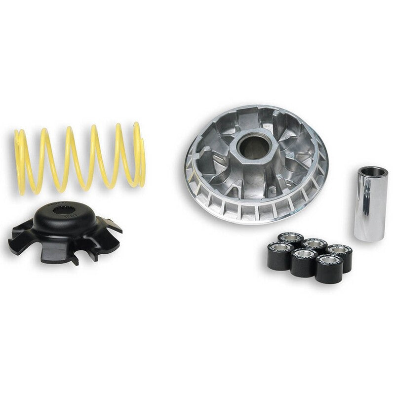 Variator Malossi 5113393 Suz. Burgman 200