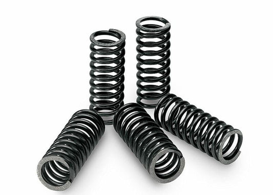 TECNIUM Clutch Spring Kit Box of 6 Suzuki DRZ400