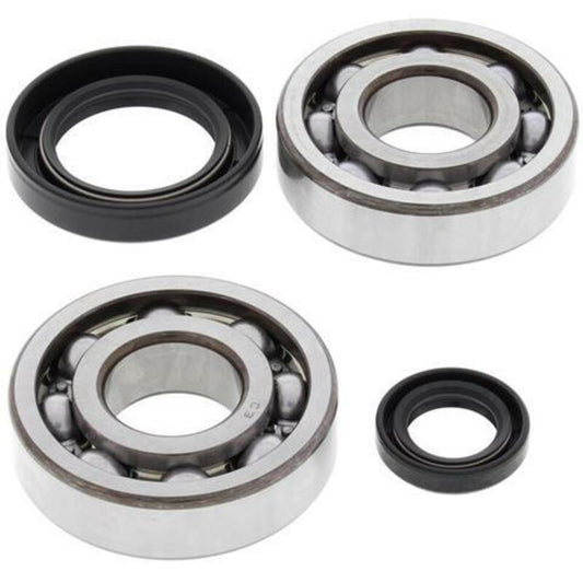 ALL BALLS Crankshaft Bearing & Oil Seal Kit - 1008838