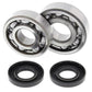 ALL BALLS Crankshaft Bearing & Oil Seal Kit - 1008840