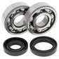 ALL BALLS Crankshaft Bearing & Oil Seal Kit - 1008841