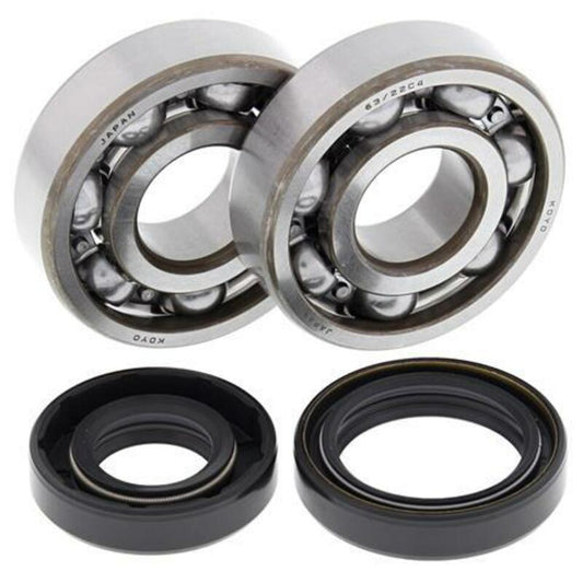 ALL BALLS Crankshaft Bearing & Oil Seal Kit - 1008841