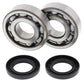 ALL BALLS Crankshaft Bearing & Oil Seal Kit - 1008844