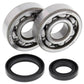 ALL BALLS Crankshaft Bearing & Oil Seal Kit - 1008845