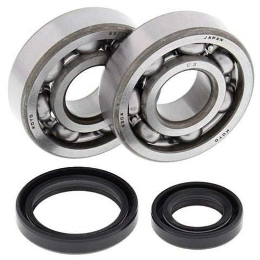 ALL BALLS Crankshaft Bearing & Oil Seal Kit - 1008845