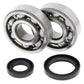 ALL BALLS Crankshaft Bearing & Oil Seal Kit - 1008846