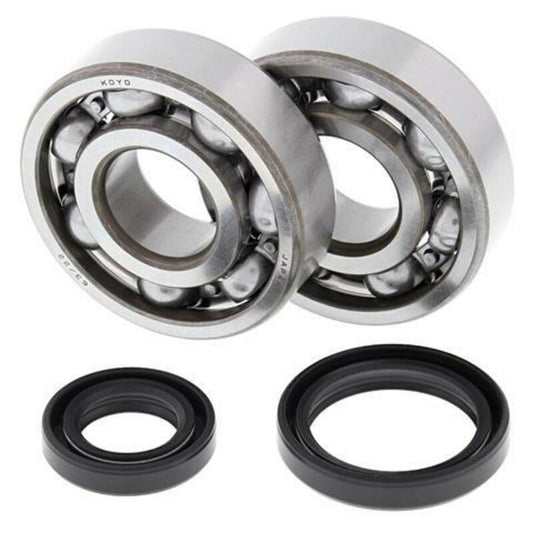 ALL BALLS Crankshaft Bearing & Oil Seal Kit - 1008846