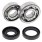 ALL BALLS Crankshaft Bearing & Oil Seal Kit - 1008848