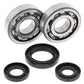 ALL BALLS Crankshaft Bearing & Oil Seal Kit - 1008851