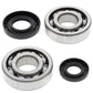 ALL BALLS Crankshaft Bearing & Oil Seal Kit - 1008852