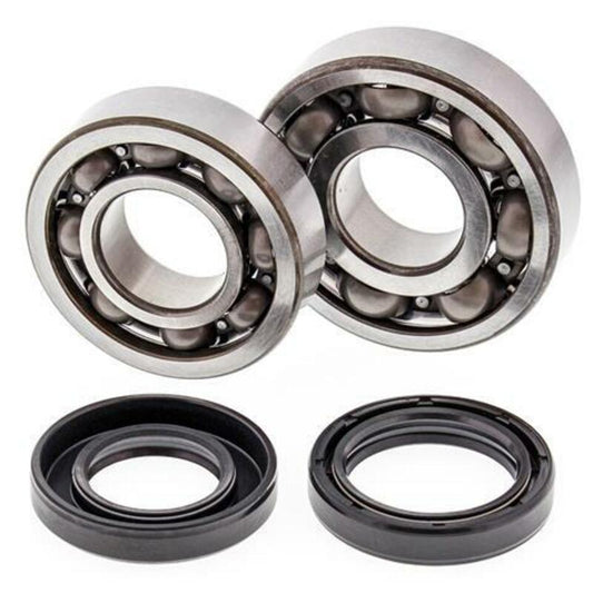 ALL BALLS Crankshaft Bearing & Oil Seal Kit - 1008860