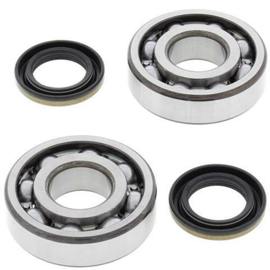 ALL BALLS Crankshaft Bearing & Oil Seal Kit - 1008861