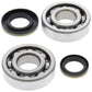 ALL BALLS Crankshaft Bearing & Oil Seal Kit - 1008862
