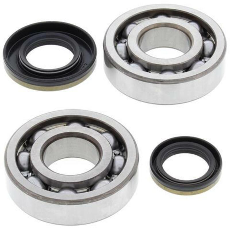 ALL BALLS Crankshaft Bearing & Oil Seal Kit - 1008862