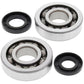 ALL BALLS Crankshaft Bearing & Oil Seal Kit - 1008863