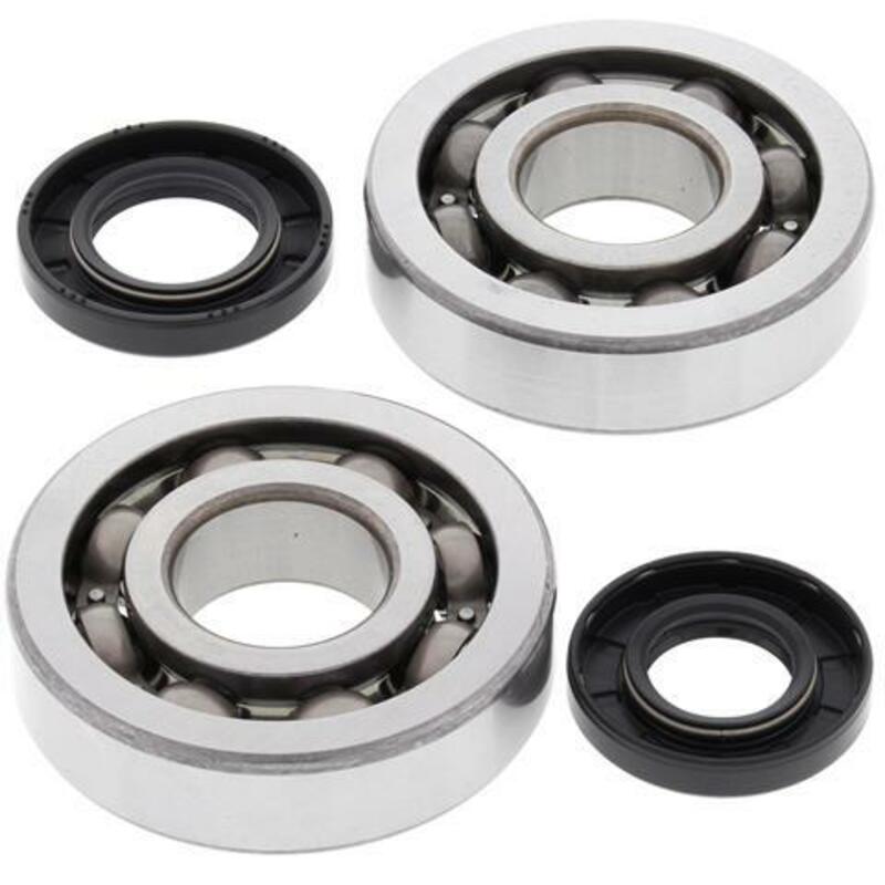ALL BALLS Crankshaft Bearing & Oil Seal Kit - 1008863