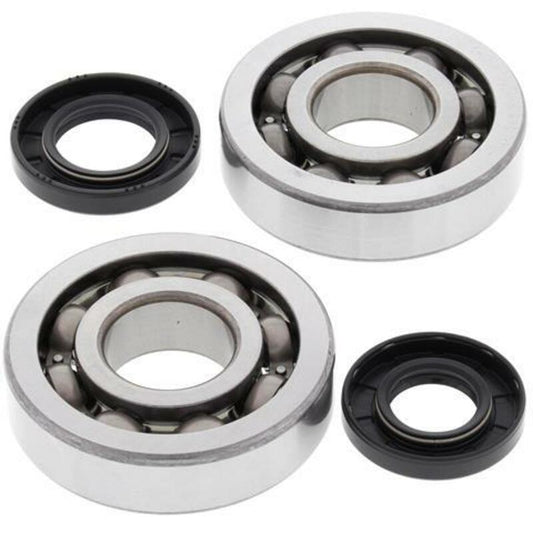 ALL BALLS Crankshaft Bearing & Oil Seal Kit - 1008863