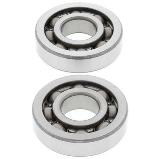 ALL BALLS Crankshaft Bearing & Oil Seal Kit - 1008865