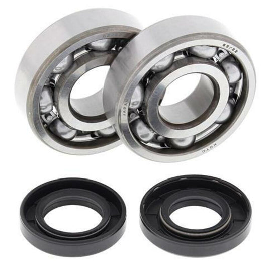 ALL BALLS Crankshaft Bearing & Oil Seal Kit - 1008868