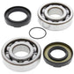ALL BALLS Crankshaft Bearing & Oil Seal Kit - 1008869