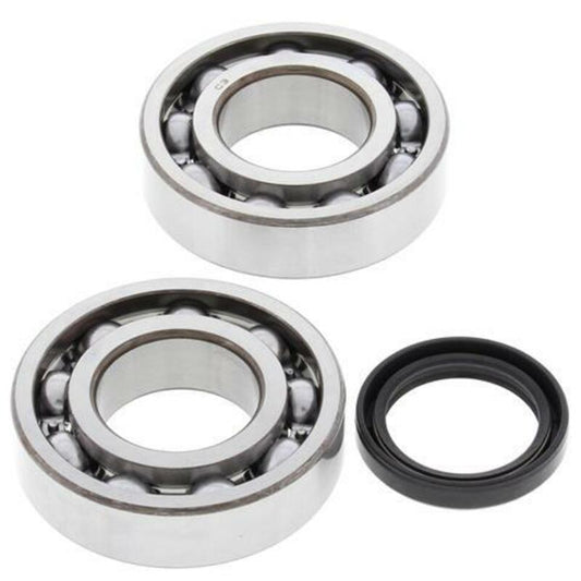ALL BALLS Crankshaft Bearing & Oil Seal Kit - 1008872