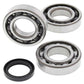 ALL BALLS Crankshaft Bearing & Oil Seal Kit - 1008875
