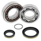 ALL BALLS Crankshaft Bearing & Oil Seal Kit - 1008878