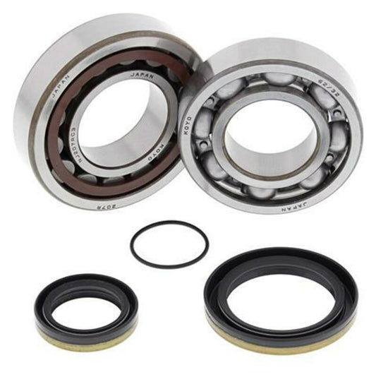 ALL BALLS Crankshaft Bearing & Oil Seal Kit - 1008878