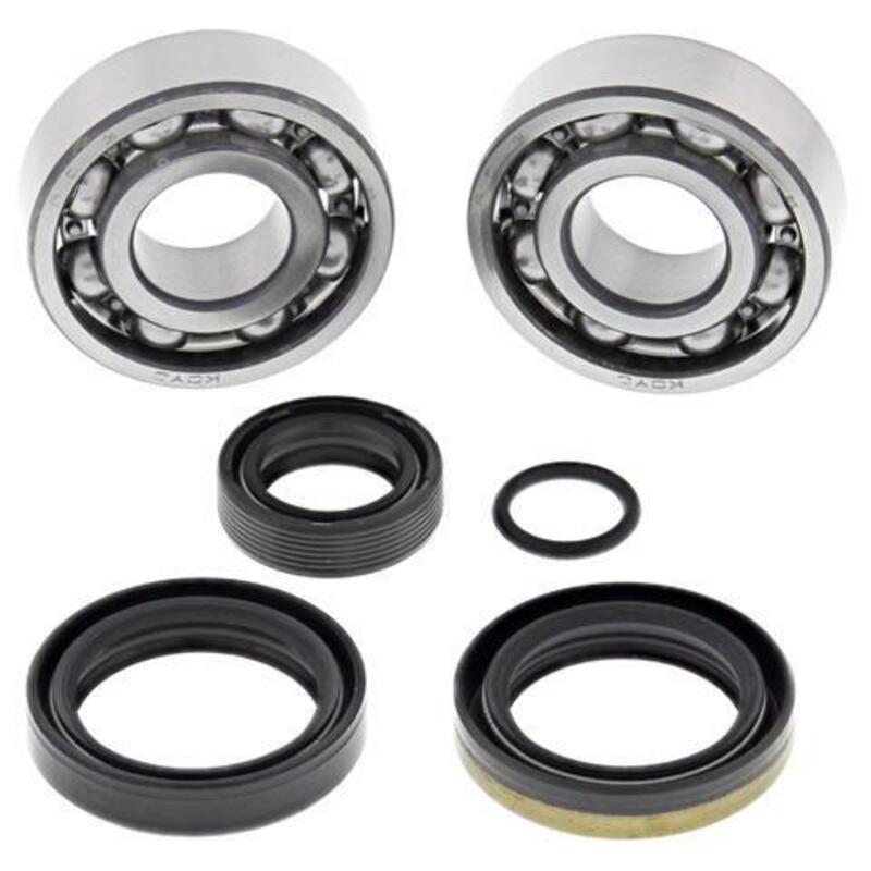 ALL BALLS Crankshaft Bearing & Oil Seal Kit - 1008879