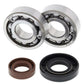 ALL BALLS Crankshaft Bearing & Oil Seal Kit - 1008881