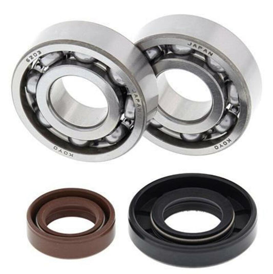 ALL BALLS Crankshaft Bearing & Oil Seal Kit - 1008881