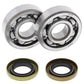 ALL BALLS Crankshaft Bearing & Oil Seal Kit - 1008882
